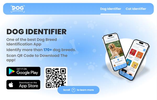 Dog Identifier ai-tool