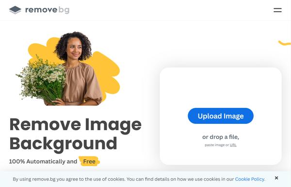 Remove.bg ai-tool