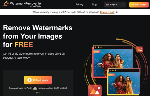 WatermarkRemover.io ai-tool